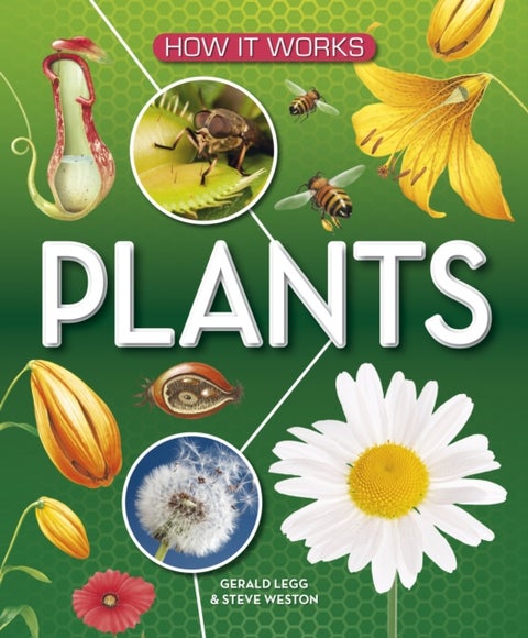 How It Works: Plants