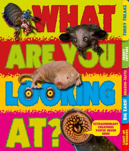 What Are You Looking At? - Extraordinary creatures you've never seen!