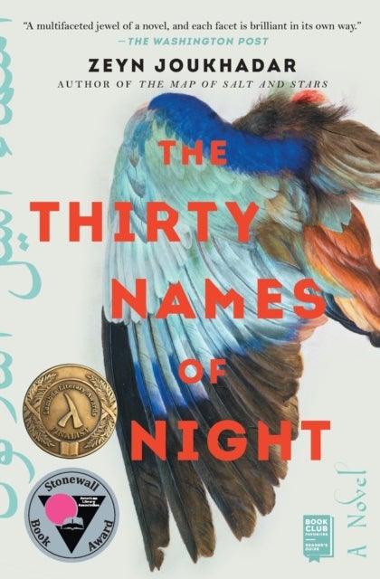 Thirty Names of Night - A Novel