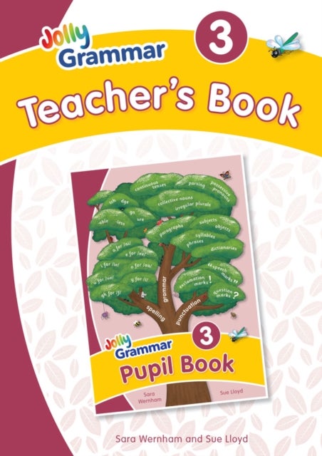Grammar 3 Teacher's Book - In Precursive Letters (British English edition)