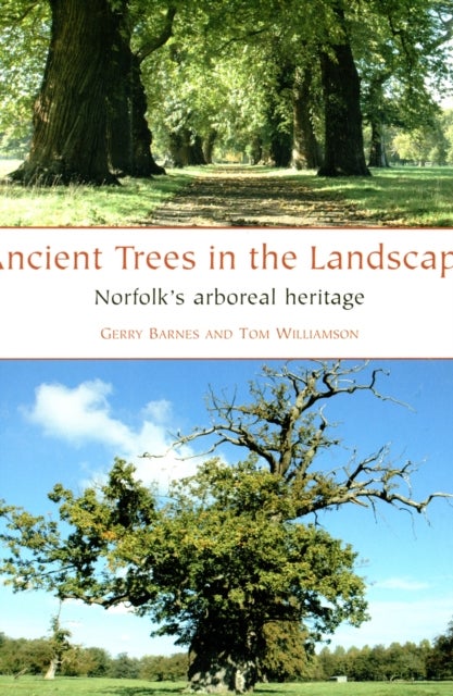 Ancient Trees in the Landscape - Norfolk's arboreal heritage