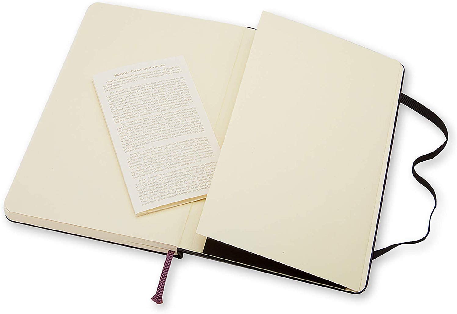 Moleskine Notatbok Blank Sort L
