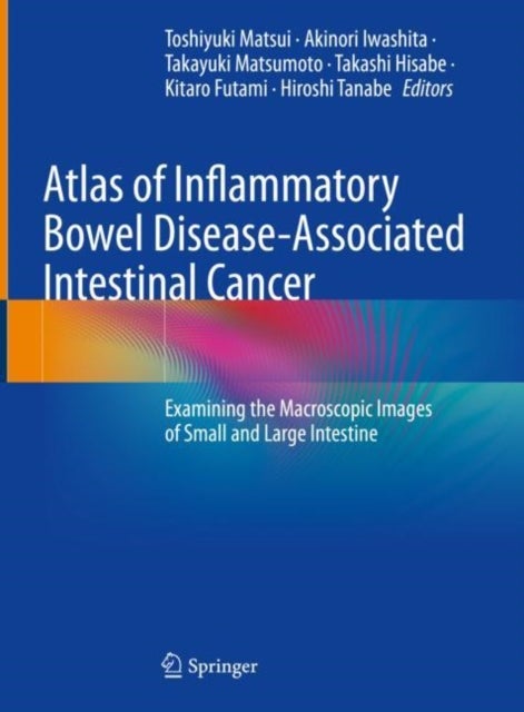 Atlas of Inflammatory Bowel Disease-Associated Intestinal Cancer - Examining the Macroscopic Images of Small and Large Intestine