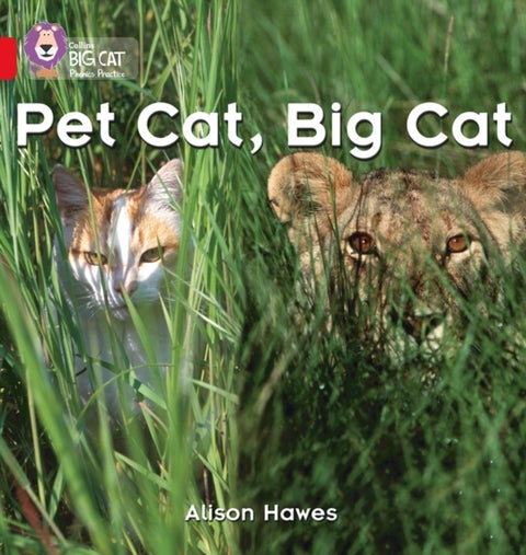 Pet Cat, Big Cat - Band 02a/Red a