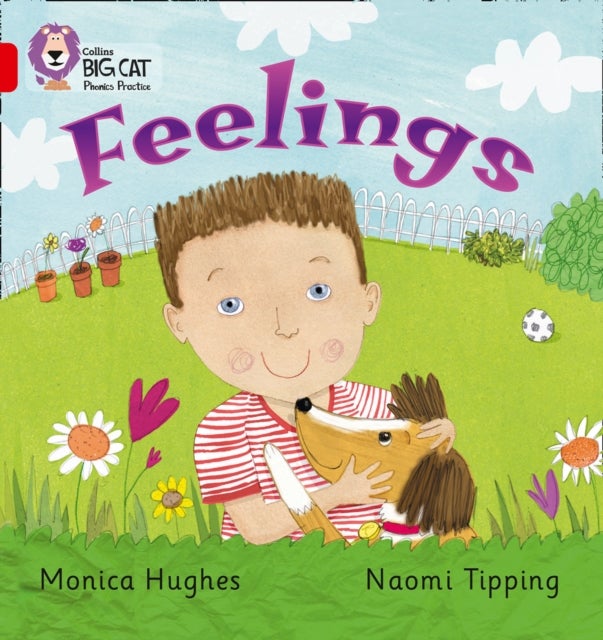 Feelings - Band 02b/Red B