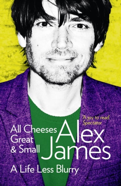 All Cheeses Great and Small - A Life Less Blurry