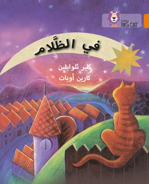 In the Dark - Level 6