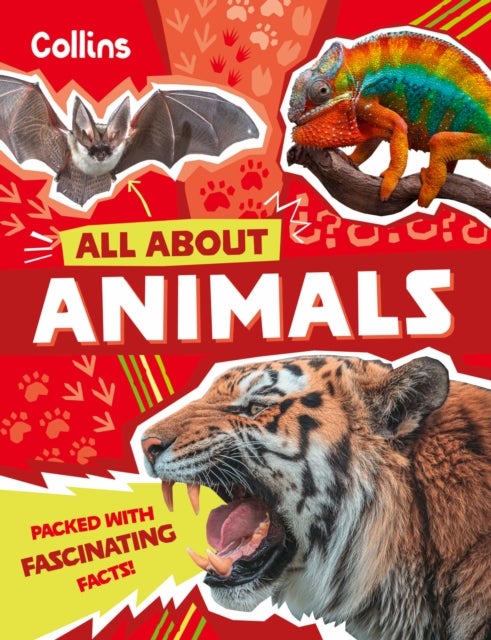 Animals - Discover Fascinating Facts About Wildlife