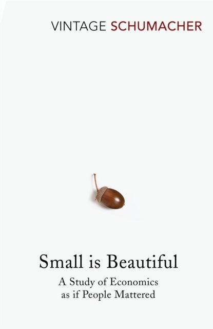 Small Is Beautiful - A Study of Economics as if People Mattered