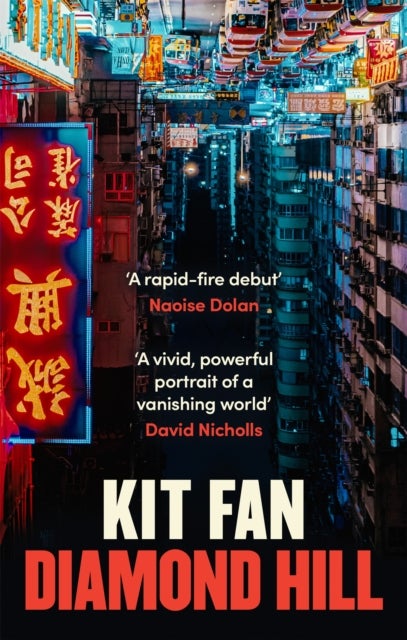 Diamond Hill - Totally unputdownable and evocative literary fiction
