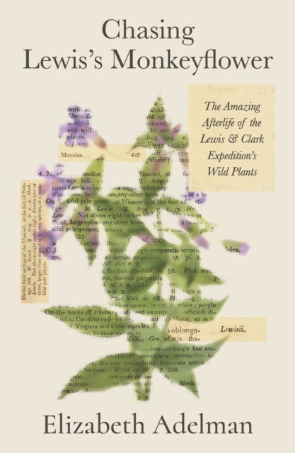 Chasing Lewis's Monkeyflower - The Amazing Afterlife of the Lewis and Clark Expedition's Wild Plants