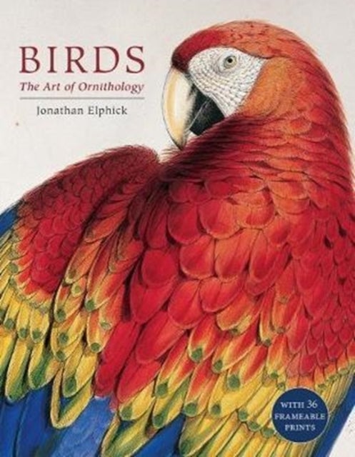 Birds - The Art of Ornithology (Boxed Set)