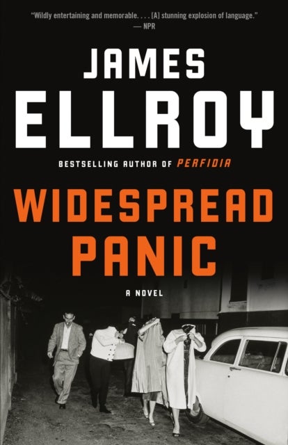 Widespread Panic - A novel
