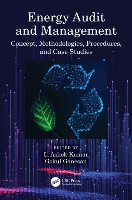 Energy Audit and Management - Concept, Methodologies, Procedures, and Case Studies
