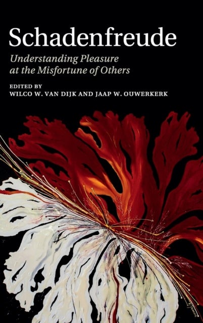 Schadenfreude - Understanding Pleasure at the Misfortune of Others