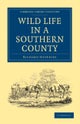 Wild Life in a Southern County