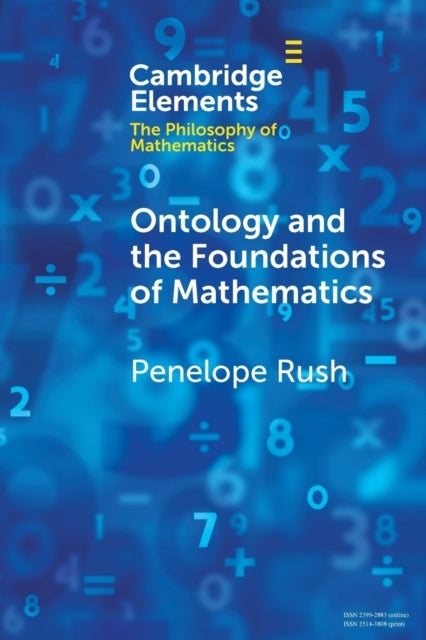 Ontology and the Foundations of Mathematics - Talking Past Each Other