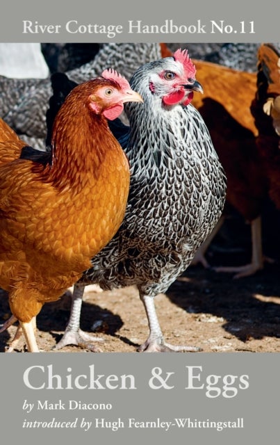Chicken & Eggs - River Cottage Handbook No.11