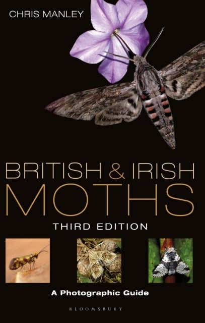 British and Irish Moths: Third Edition - A Photographic Guide