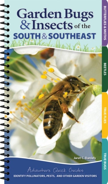 Garden Bugs & Insects of the South & Southeast - Identify Pollinators, Pests, and Other Garden Visitors