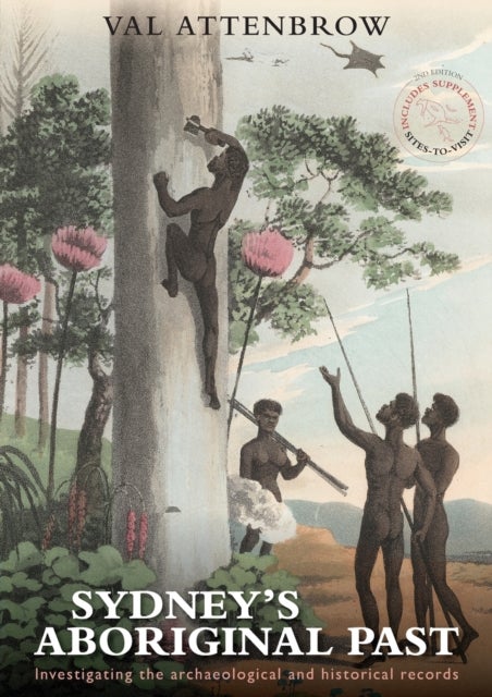 Sydney's Aboriginal Past - Investigating the Archaeological and Historical Records