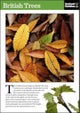 British Trees