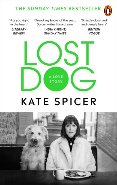 Lost Dog - A Love Story