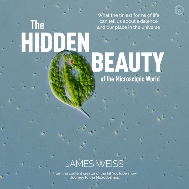 The Hidden Beauty of the Microscopic World - What the tiniest forms of life can tell us about existence and our place in the universe
