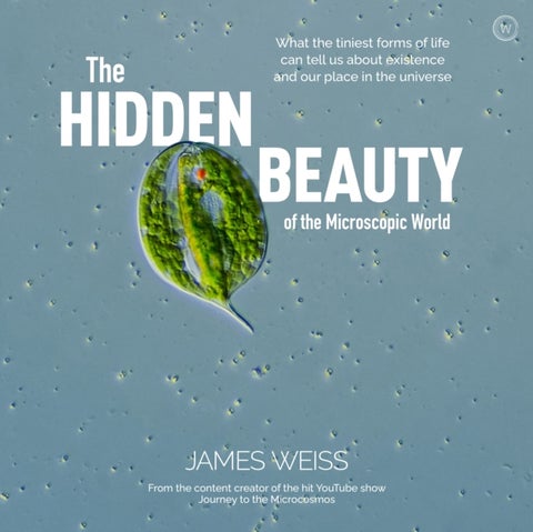 The Hidden Beauty of the Microscopic World - What the tiniest forms of life can tell us about existence and our place in the universe