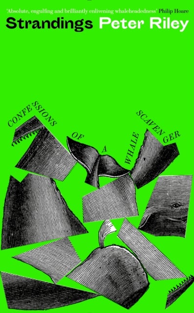 Strandings - Confessions of a Whale Scavenger