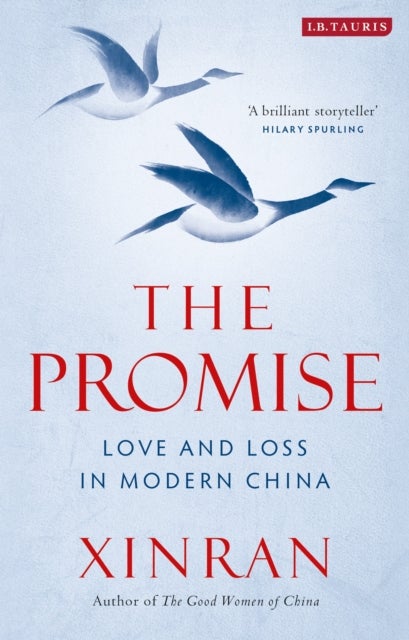 The Promise - Love and Loss in Modern China