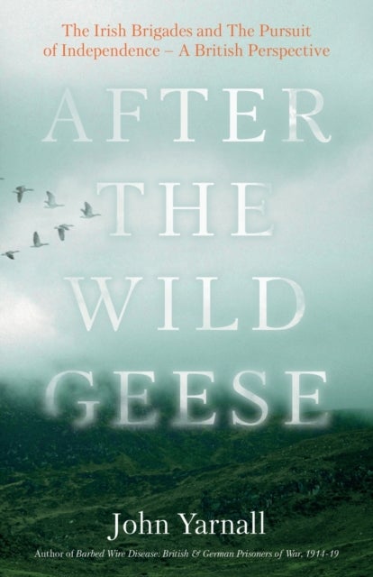 After The Wild Geese - The Irish Brigades and The Pursuit of Independence – A British Perspective