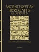 Ancient Egyptian Hieroglyphs Illustrated
