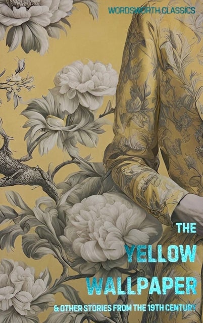 Short Stories from the Nineteenth Century - And Other Short Stories from the 19th Century