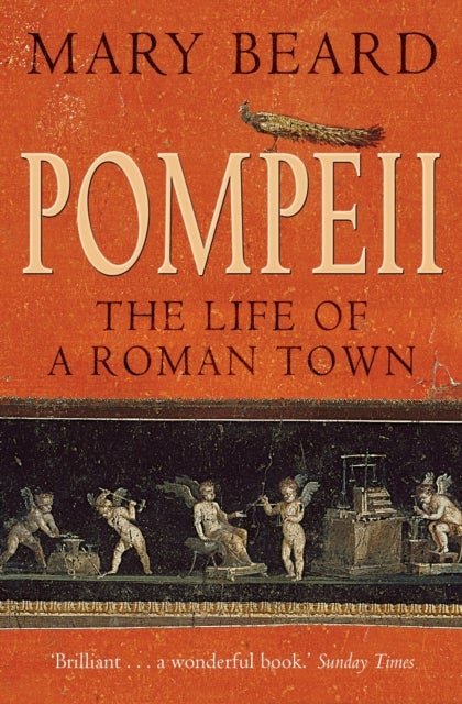 Pompeii - The Life of a Roman Town