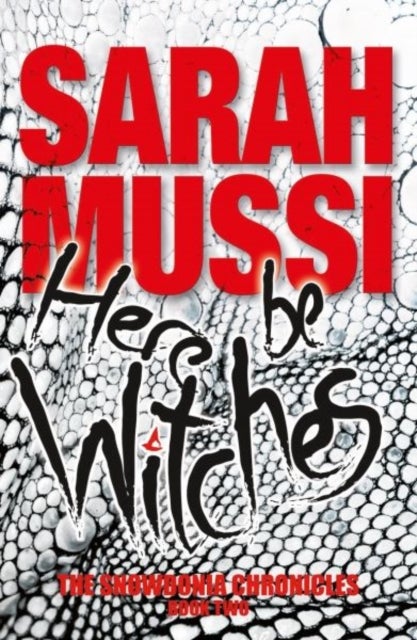Here be Witches - The Snowdonia Chronicles: Book Two