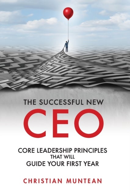 The Successful New CEO - The Core Leadership Principles That Will Guide Your First Year