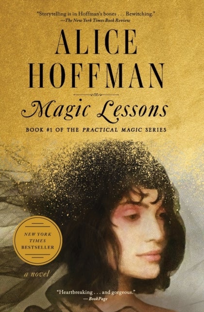 The Magic Lessons - Book #1 of the Practical Magic Series