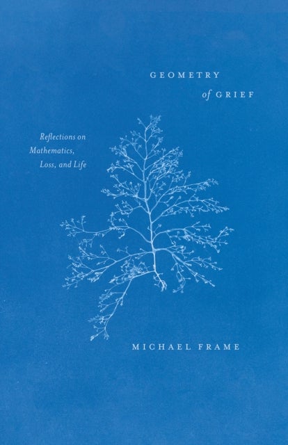 Geometry of Grief - Reflections on Mathematics, Loss, and Life
