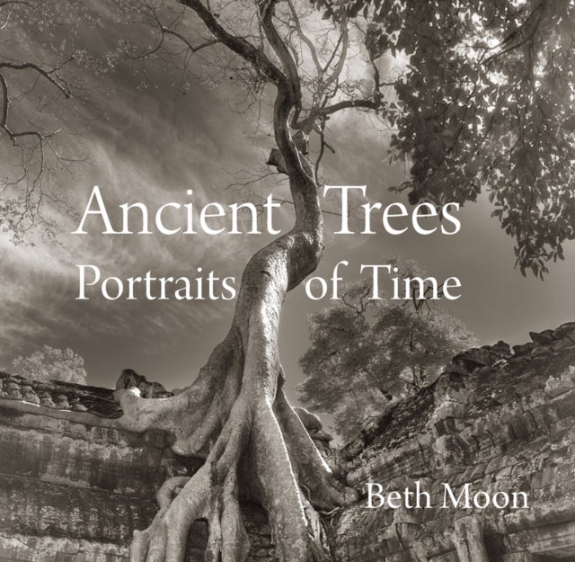 Ancient Trees - Portraits of Time