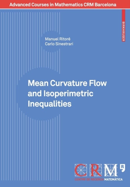 Mean Curvature Flow and Isoperimetric Inequalities