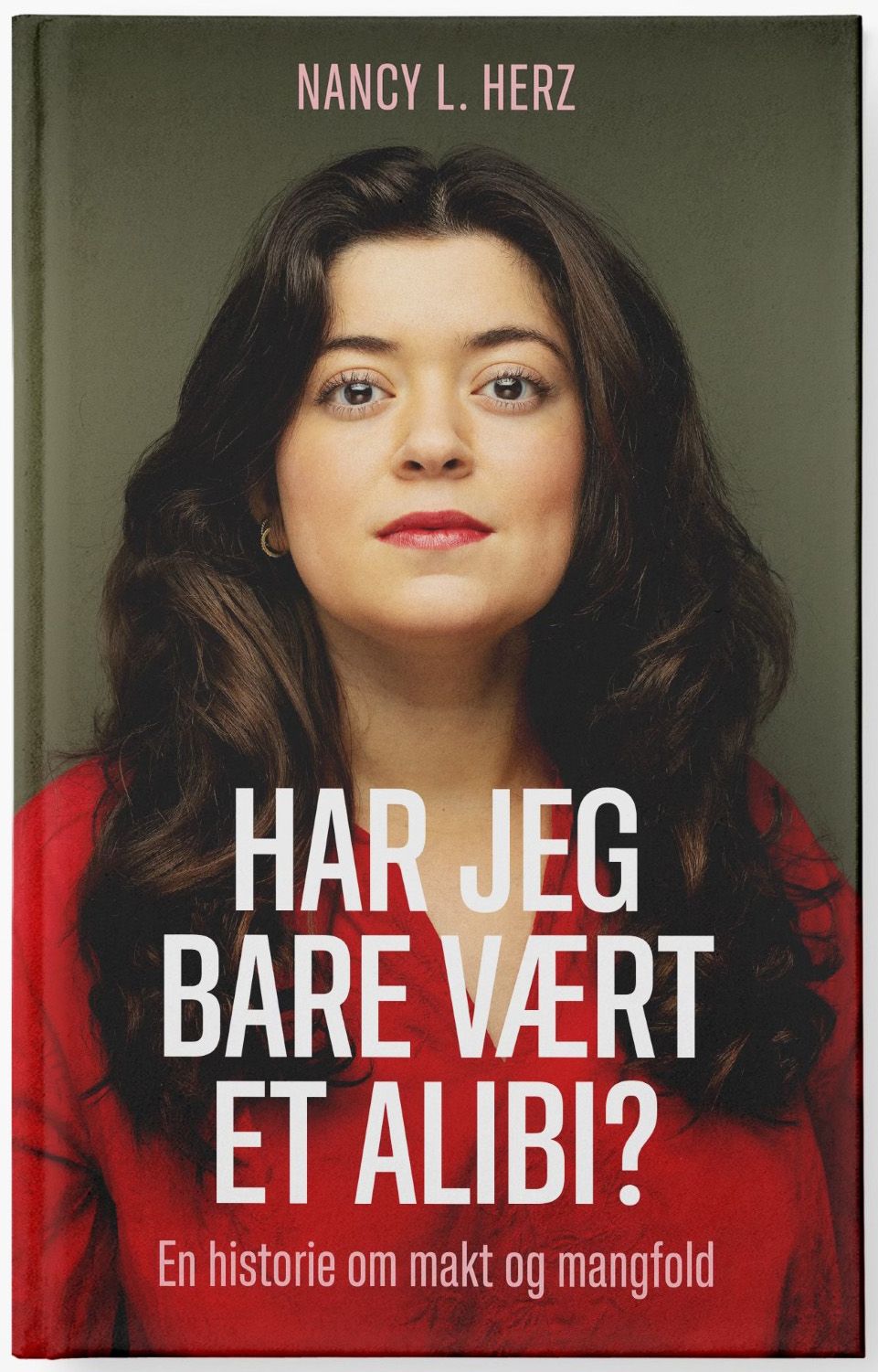 Har jeg bare vært et alibi? - en historie om makt og mangfold