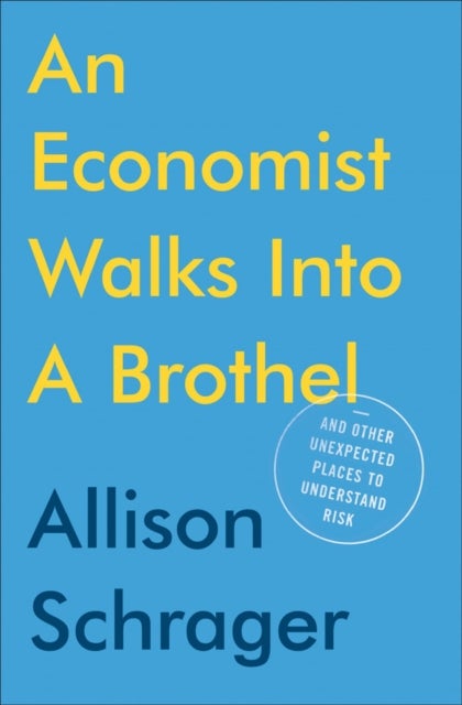 An Economist Walks Into A Brothel - And Other Unexpected Places to Understand Risk