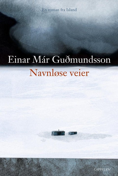Navnløse veier - roman