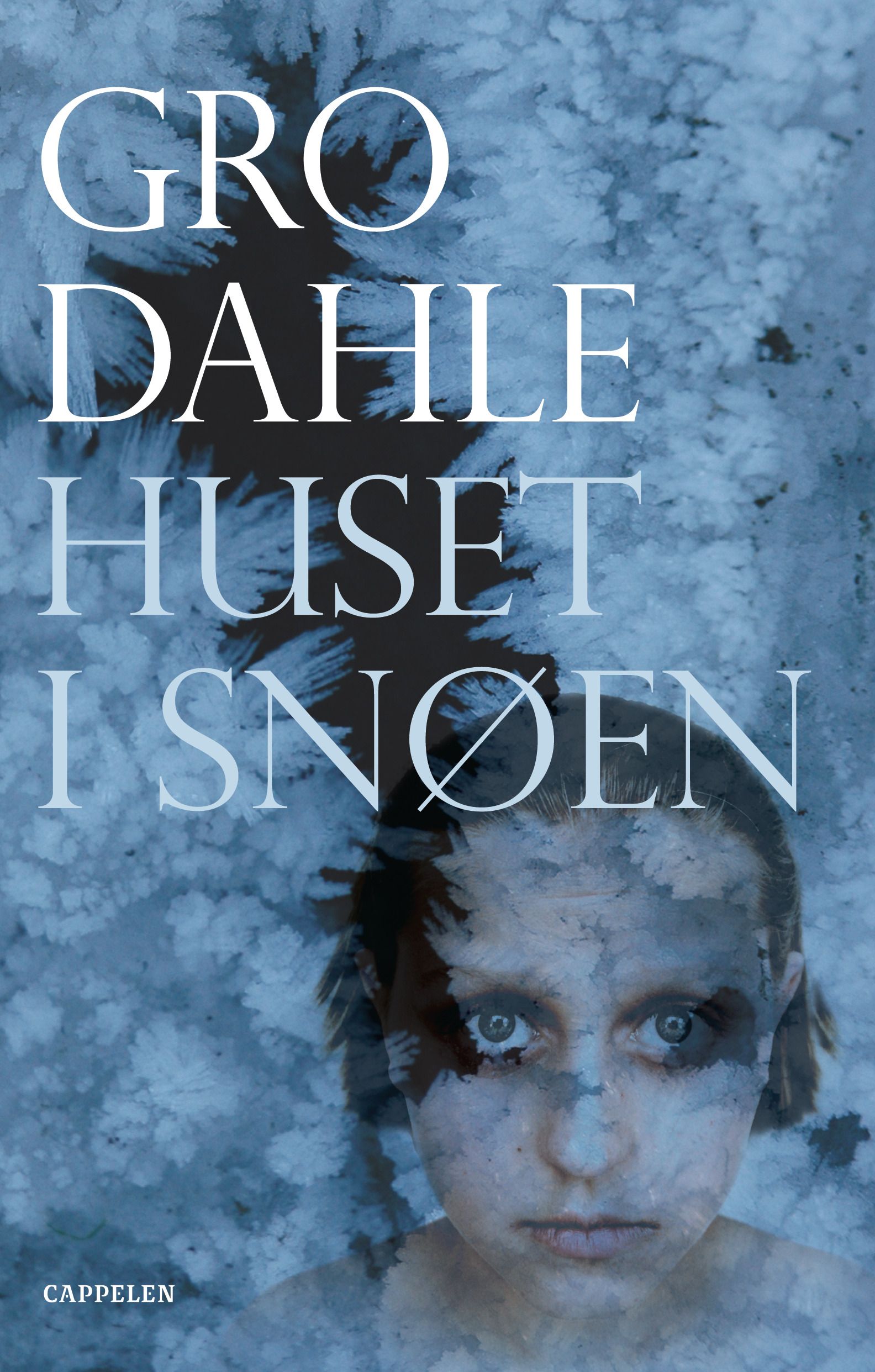 Huset i snøen - roman