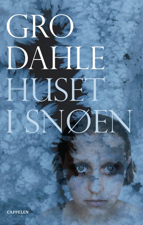 Huset i snøen - roman