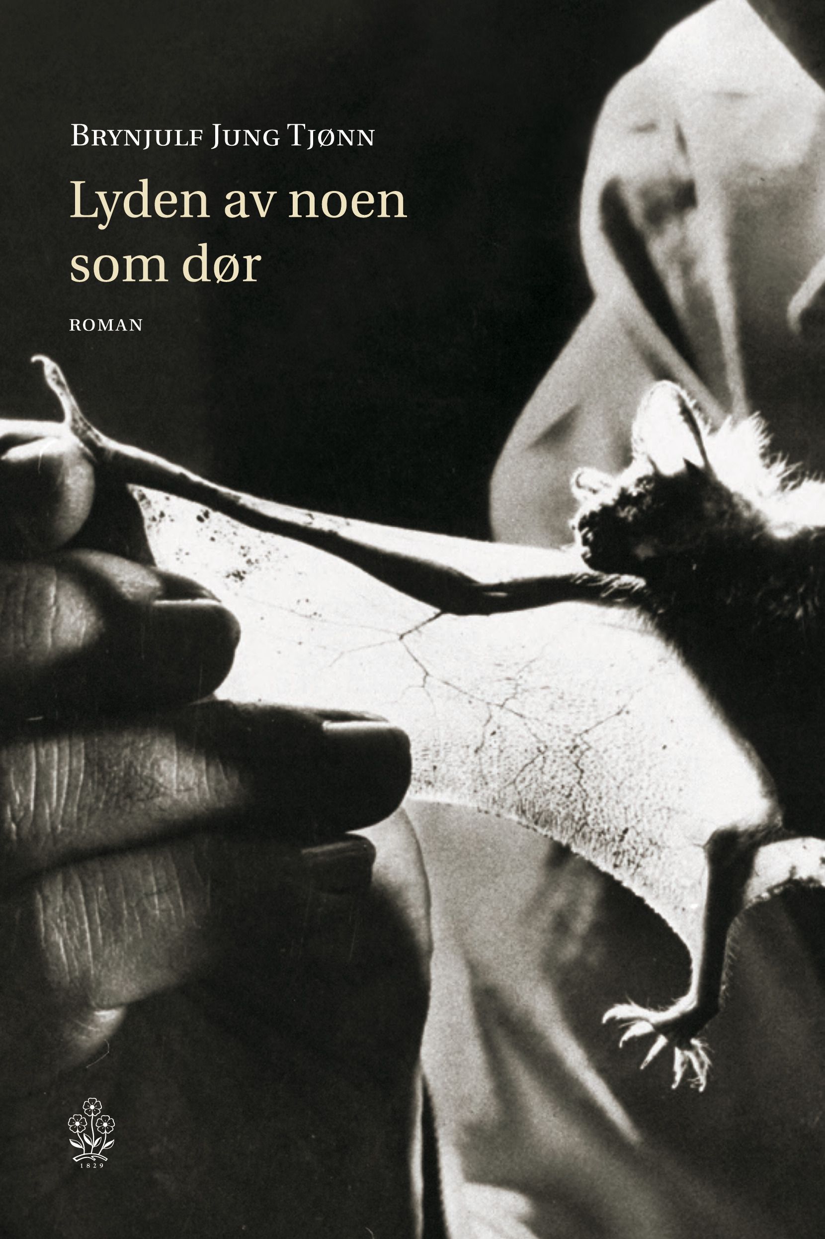 Lyden av noen som dør - roman