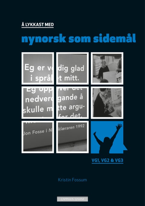 Å lykkast med nynorsk som sidemål - vg1, vg2 & vg3