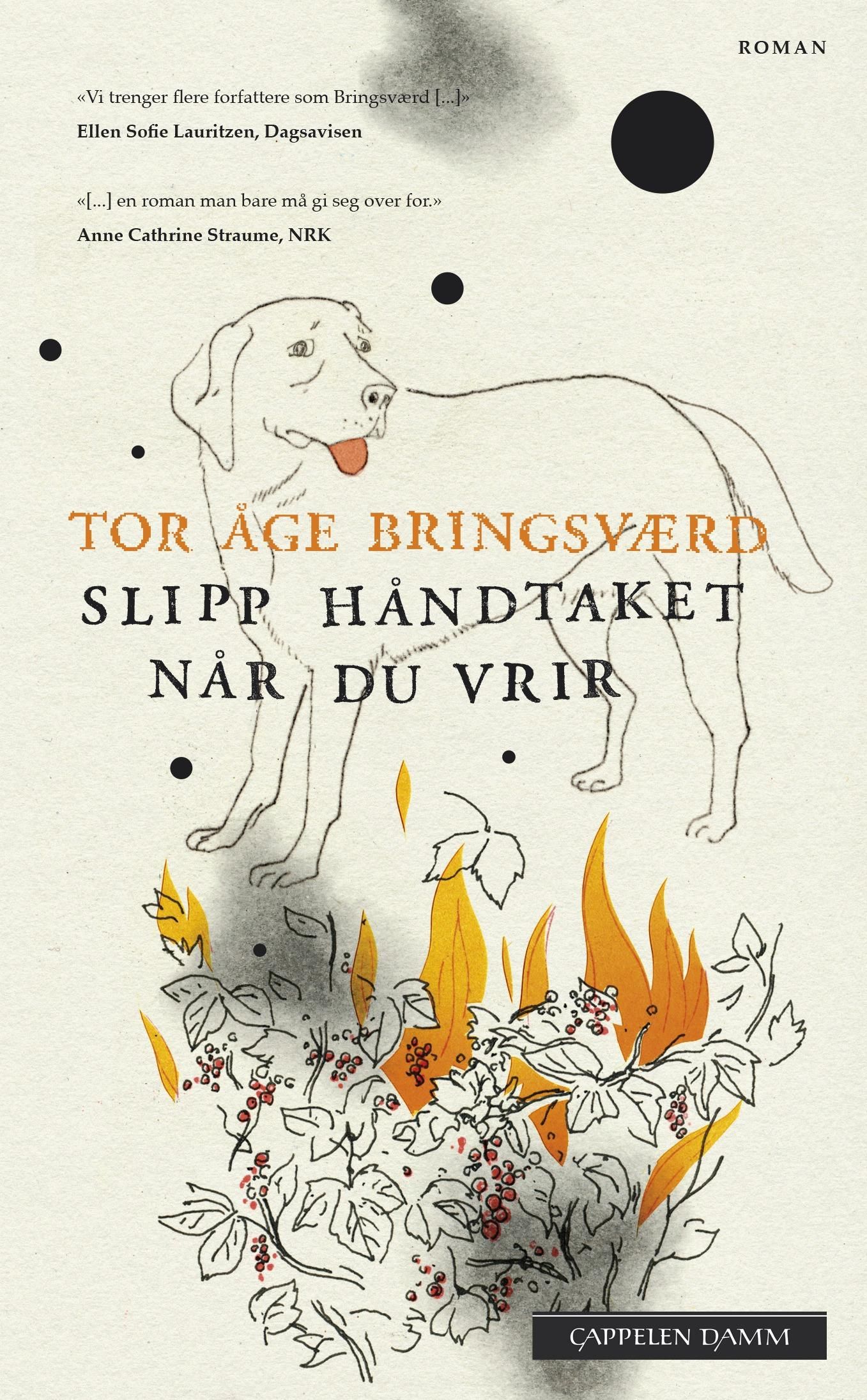 Slipp håndtaket når du vrir - roman