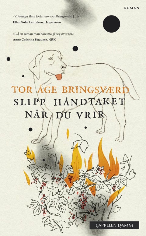Slipp håndtaket når du vrir - roman